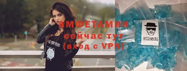 мдпв Богданович