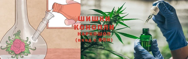 мдпв Богданович