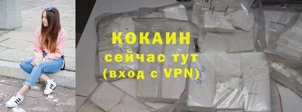 мдпв Богданович