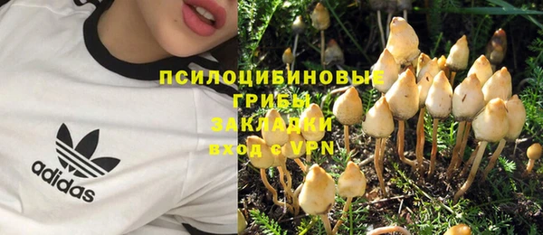 кокаин Богородицк