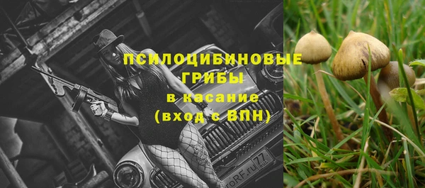 кокаин Богородицк
