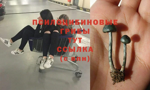 jwh Богородск