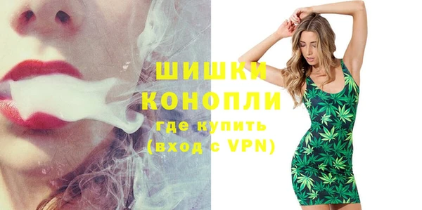 мдпв Богданович