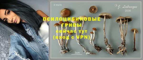 jwh Богородск