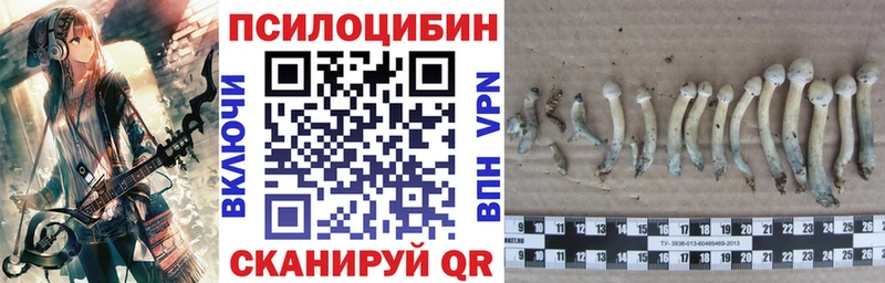 Галлюциногенные грибы GOLDEN TEACHER  Кочубеевское 